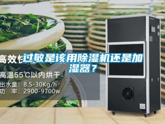 行業新聞過敏是該用除濕機還是加濕器？