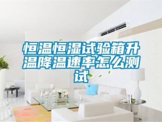 知識百科恒溫恒濕試驗箱升溫降溫速率怎么測試