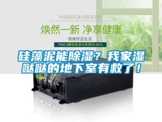 企業(yè)新聞硅藻泥能除濕？我家濕噠噠的地下室有救了！