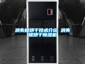 行業新聞消失模烘干技術介紹 消失模烘干除濕機