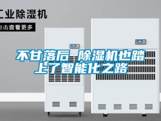 企業新聞不甘落后 除濕機也踏上了智能化之路