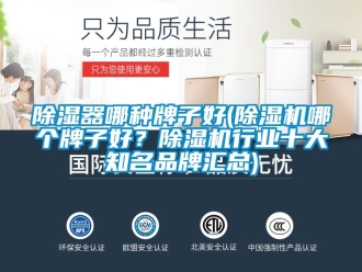企業新聞除濕器哪種牌子好(除濕機哪個牌子好？除濕機行業十大知名品牌匯總)