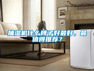 企業(yè)新聞抽濕機(jī)什么牌子好最好，最值得推薦？