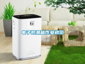 常見問題電子防潮箱作業規范
