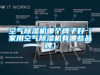企業新聞空氣除濕機哪個牌子好（家用空氣除濕機有哪些品牌）