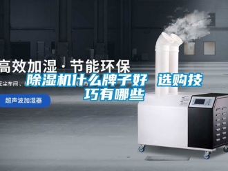 行業(yè)新聞除濕機(jī)什么牌子好 選購(gòu)技巧有哪些