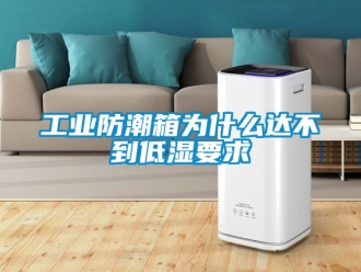 常見問題工業(yè)防潮箱為什么達不到低濕要求
