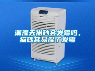 常見問題潮濕天貓砂會發霉嗎，貓砂容易濕了發霉