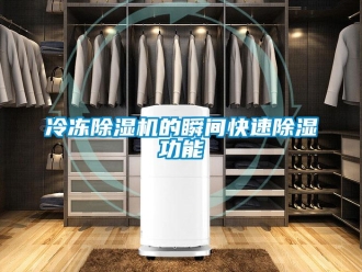 行業新聞冷凍除濕機的瞬間快速除濕功能