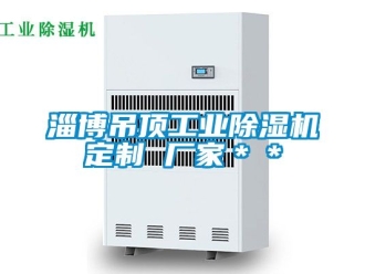 企業新聞淄博吊頂工業除濕機定制 廠家＊＊