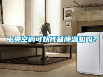 行業(yè)新聞中央空調(diào)可以代替除濕機(jī)嗎？