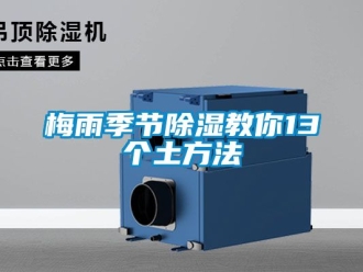 企業(yè)新聞梅雨季節(jié)除濕教你13個土方法