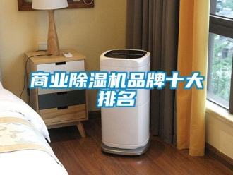 企業(yè)新聞商業(yè)除濕機品牌十大排名