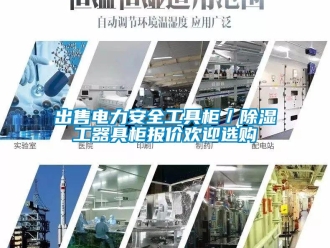 企業新聞出售電力安全工具柜／除濕工器具柜報價歡迎選購