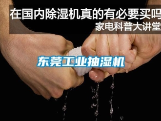 企業(yè)新聞東莞工業(yè)抽濕機(jī)
