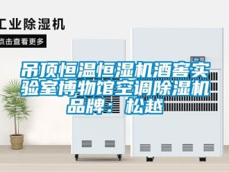 企業新聞吊頂恒溫恒濕機酒窖實驗室博物館空調除濕機品牌：松越
