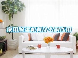行業(yè)新聞家用除濕機有什么副作用