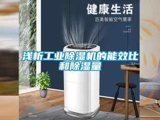 行業(yè)新聞淺析工業(yè)除濕機(jī)的能效比和除濕量