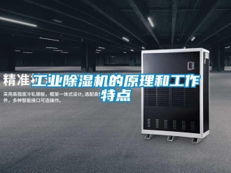 企業新聞工業除濕機的原理和工作特點
