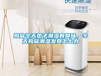 常見問題狗窩冬天墊子潮濕有臭味，冬天狗窩潮濕發臭怎么辦
