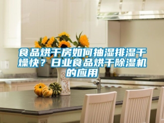 行業新聞食品烘干房如何抽濕排濕干燥快？日業食品烘干除濕機的應用