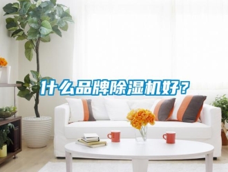 知識百科什么品牌除濕機(jī)好？