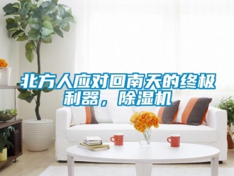 企業新聞北方人應對回南天的終極利器，除濕機