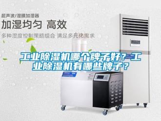 常見問題工業除濕機哪個牌子好？工業除濕機有哪些牌子？