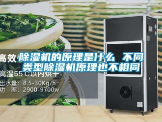 企業(yè)新聞除濕機的原理是什么 不同類型除濕機原理也不相同
