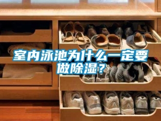 知識百科室內泳池為什么一定要做除濕？