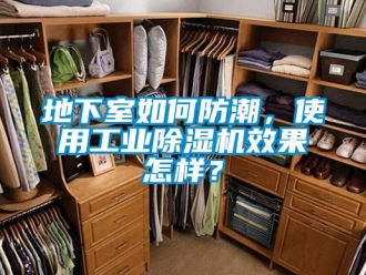 常見問題地下室如何防潮，使用工業除濕機效果怎樣？
