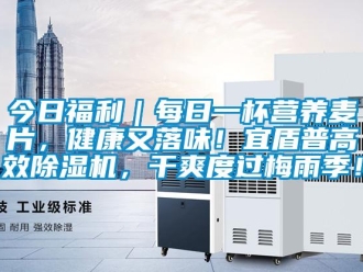 行業新聞今日福利｜每日一杯營養麥片，健康又落味！宜盾普高效除濕機，干爽度過梅雨季！
