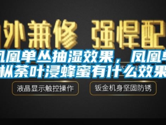 企業(yè)新聞鳳凰單叢抽濕效果，鳳凰單樅荼葉浸蜂蜜有什么效果