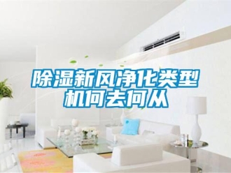 企業(yè)新聞除濕新風(fēng)凈化類型機(jī)何去何從