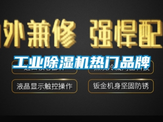 常見問題工業(yè)除濕機(jī)熱門品牌