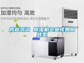 常見問題跨越鴻溝 除濕機(jī)企業(yè)該如何轉(zhuǎn)型