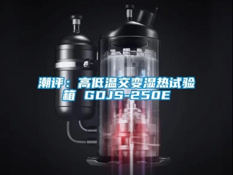 常見(jiàn)問(wèn)題潮評(píng)：高低溫交變濕熱試驗(yàn)箱 GDJS-250E