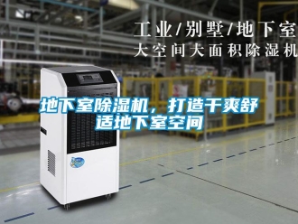行業(yè)新聞地下室除濕機，打造干爽舒適地下室空間