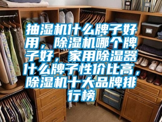 企業(yè)新聞抽濕機(jī)什么牌子好用，除濕機(jī)哪個(gè)牌子好，家用除濕器什么牌子性價(jià)比高，除濕機(jī)十大品牌排行榜