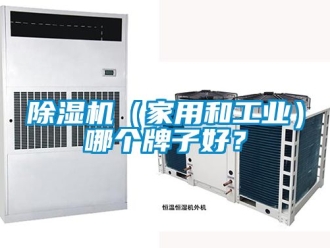 常見問題除濕機（家用和工業(yè)）哪個牌子好？