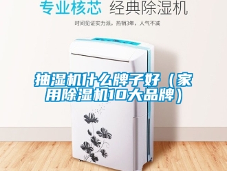 企業(yè)新聞抽濕機(jī)什么牌子好（家用除濕機(jī)10大品牌）