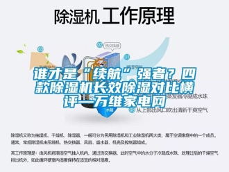 行業(yè)新聞?wù)l才是“續(xù)航”強(qiáng)者？四款除濕機(jī)長效除濕對比橫評—萬維家電網(wǎng)