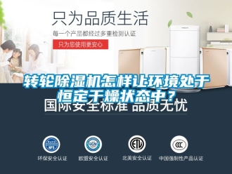 常見問題轉輪除濕機怎樣讓環境處于恒定干燥狀態中？