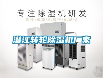 企業(yè)新聞潛江轉(zhuǎn)輪除濕機(jī)廠家