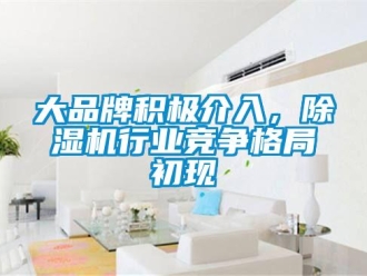 企業新聞大品牌積極介入，除濕機行業競爭格局初現