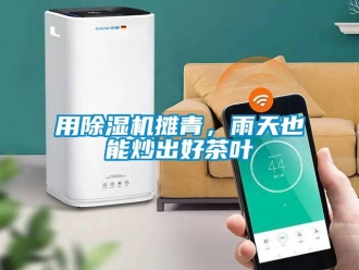 知識(shí)百科用除濕機(jī)攤青，雨天也能炒出好茶葉