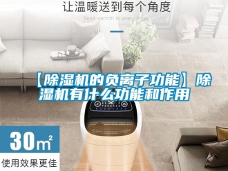 企業新聞【除濕機的負離子功能】除濕機有什么功能和作用