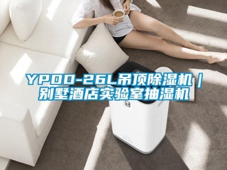 企業(yè)新聞YPDD-26L吊頂除濕機(jī)｜別墅酒店實(shí)驗(yàn)室抽濕機(jī)