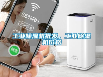 常見(jiàn)問(wèn)題工業(yè)除濕機(jī)批發(fā)，工業(yè)除濕機(jī)價(jià)格